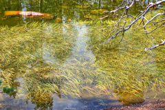 Norwegen-20230827_2318_19_20_HDR