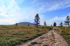 Norwegen-20230828_2426_7_8_HDR