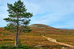 Norwegen-20230828_2444_5_6_HDR