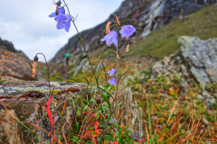 Norwegen-20230830_2562_3_4_HDR