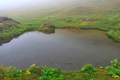 Norwegen-20230830_2645_6_7_HDR