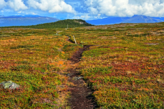 Norwegen-20230831_2736_7_8_HDR