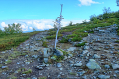 Norwegen-20230831_2766_7_8_HDR