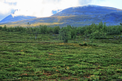Norwegen-20230831_2769_70_71_HDR