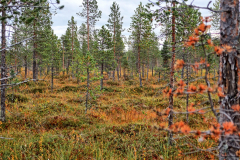 Norwegen-20230902_2880_1_2_HDR_1