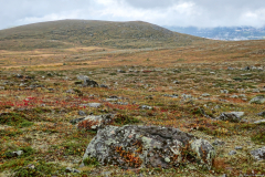 Norwegen-20230903_2937_8_9_HDR
