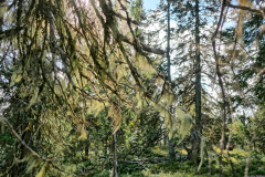 Norwegen-20230905_3129_30_31_HDR
