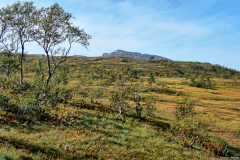 Norwegen-20230906_3228_29_30_HDR