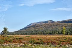 Norwegen-20230908_3240_1_2_HDR