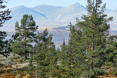Norwegen-20230908_3252_3_4_HDR