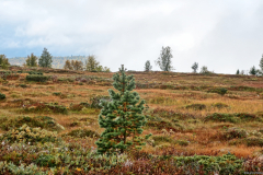 Norwegen-20230909_3453_4_5_HDR-1