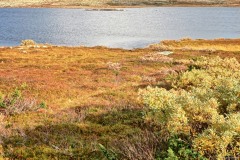 Norwegen-20230910_3471_2_3_HDR