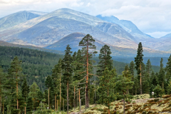 Norwegen-20230910_3498_499_500_HDR